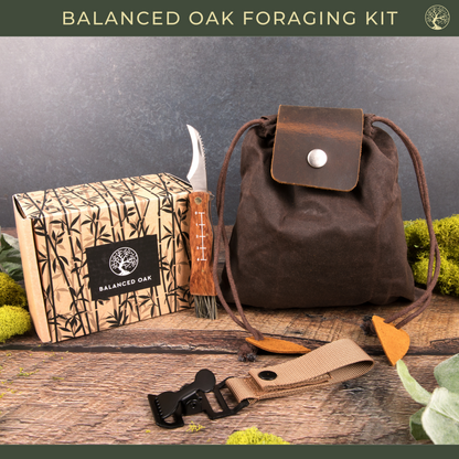 Foraging Kit