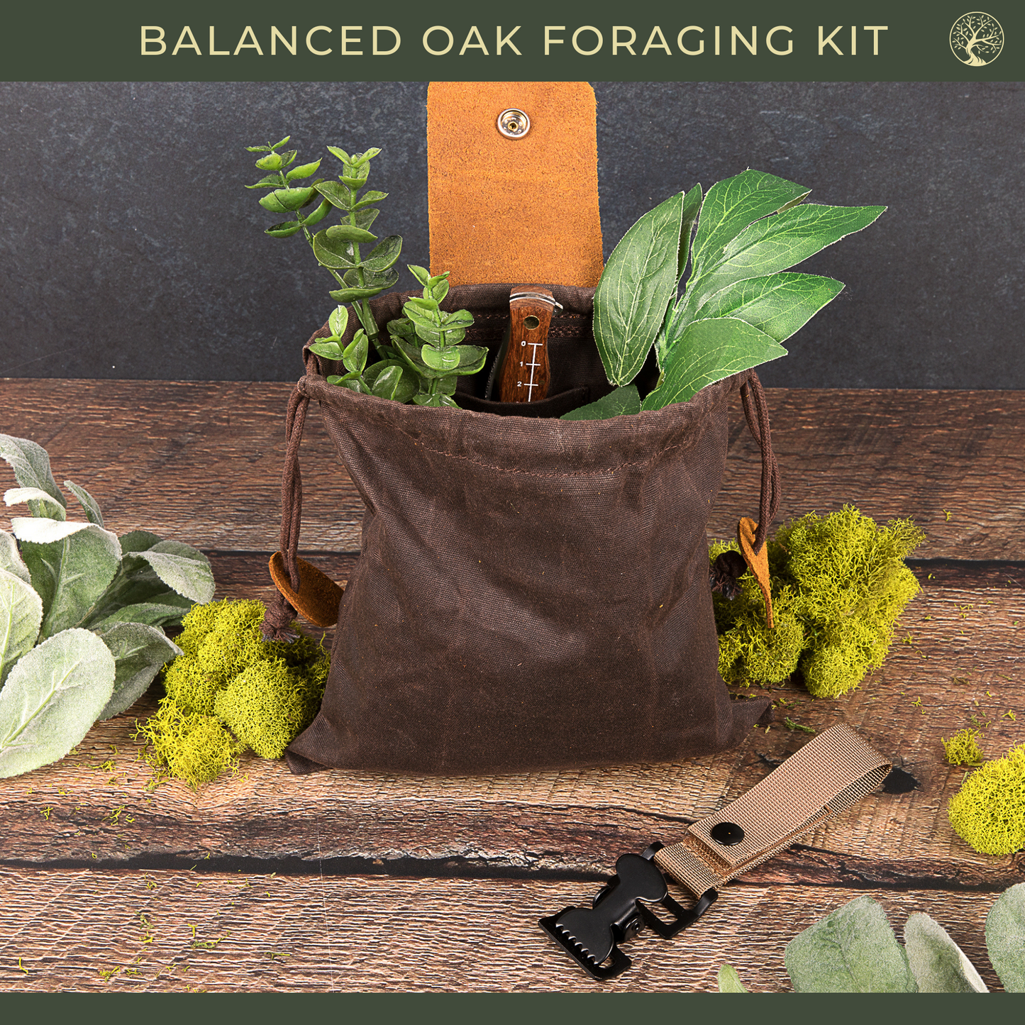 Foraging Kit